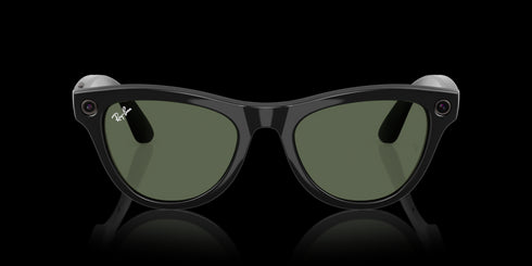 RAY-BAN Skyler Shiny Black W/g15 Green Accessories